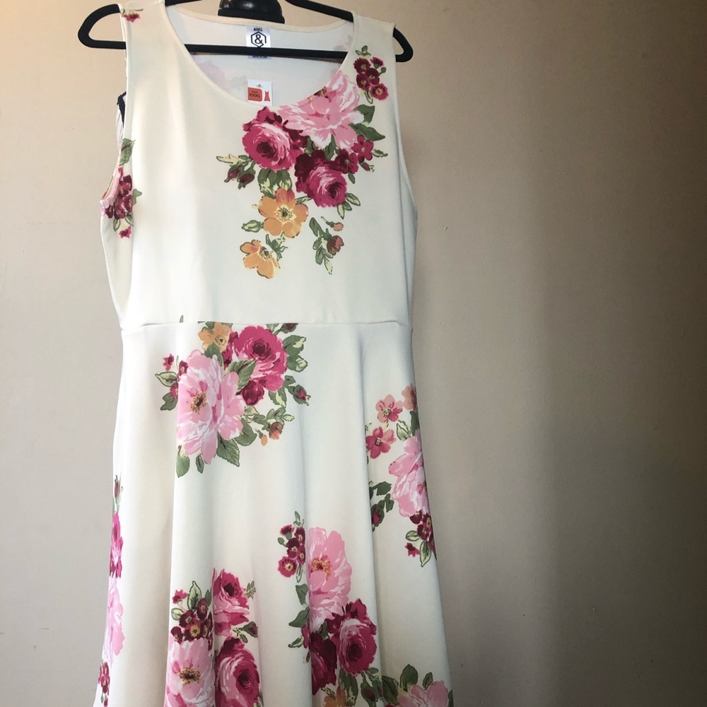 Agnes & Dora Fisher Dress Size XXXL